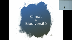 PASS UE5 - Visier - 04/03/2026