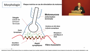 S1UECUE-PHG_Hayot_2_17112023