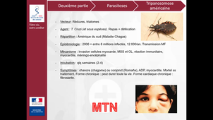 UE libre SSA (Service de Santé des Armées) -  UE optionnelle - Risque tropical - micro organismes - salle 211 - 12-11-2020