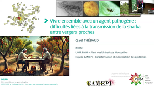 Gaël Thébaud (INRAE, UMR PHIM) 