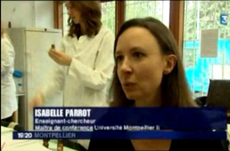 Reportage de France 3 sur la Licence Pro Parfum Arôme Comestique.