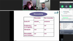 DU Battistella Insuffisance Cardiaque Pr VERMES Greffes combinées 10 Mai 2019