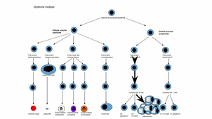 DFASM1 MIB - HERBAUX - 15/09/2020