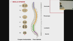 Pass ECUE PHG - Pr.Muller - 12/11/2025