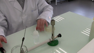 Catalase