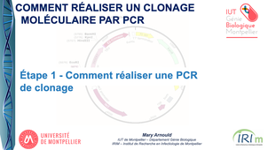 Clonage Moléculaire par PCR - Étape 1 – Comment réaliser une PCR de clonage