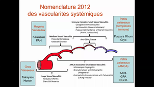 BO Médecine interne		Mercredi	11/01/2023	14:00	16:00	1 & 2	CM	Amphi UPM