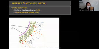21-09-2020 DFGSMa2-DFGSM2 DE VOS John Système Cardiovasculaire CM