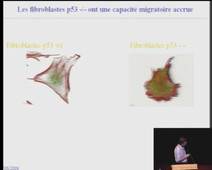 Migration cellulaire et métastases