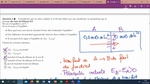 Corrigé_Exercice Membrane_Examen janvier 2022