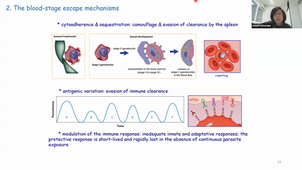 MEETING - Syntèse Réunion - E. Cornillot - 09-01-26.mp4