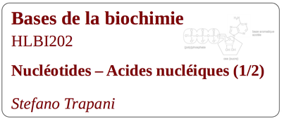 HLBI202_Nucl_1 (pour Série 6)