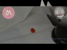 H1_montage directeur-préforme-17