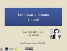 Les tissus animaux