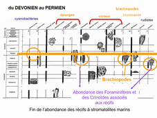 Séance 3 paléontologie chapitre 2