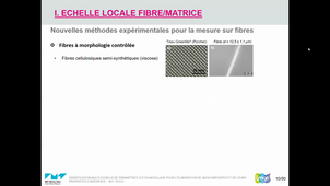Seminaire LMGC 11 février 2021 : Monica Pucci - Identification multi-échelle de paramètres clé du mouillage pour l’élaboration de (bio)composites et de leurs propriétés d’interface
