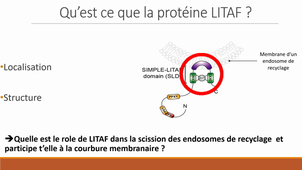 Article 4 trafic