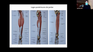 11/10/2021 8h-10h MTP Anat Nîmes Amphi 2 DFGSM 2 CM 11 Appareil loco NANTY Léo