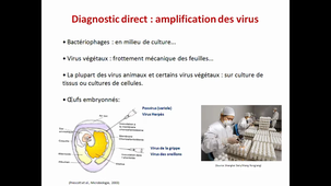 Diagnostic viral_AS GOSSELIN_HLBI617_2021