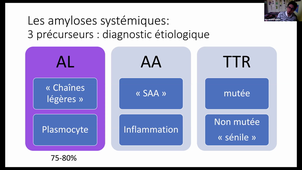 DFASM2 MIF 26/11/2020 Amylose MARIA A.