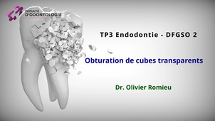 TP3 - Obturation de cubes transparents.mp4