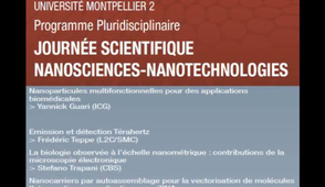Journée Scientifique Nanosciences : les conférences.