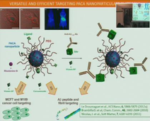 LABEX CheMiSyst Summer School - Patrick Couvreur - Nanomedicine and nanotheranostic to overcome resistances to the treatment of severe diseases
