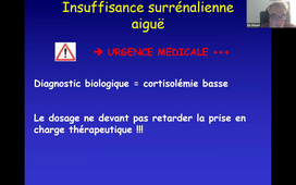 12-02-26-DFGSM2-Hormonologie-E Renard-CM21.mp4