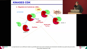 S1UE3ECUE3_1-Biologie_Cellulaire-Carillo-02102024