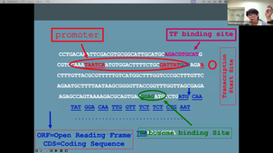 TU07 - Research Methodology - Putthapoom Lumjiaktase - 20-11-25.mp4