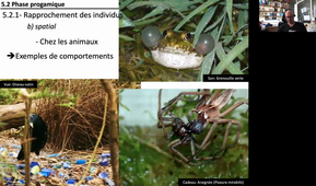 HLBE201-Chap 5-cours 12