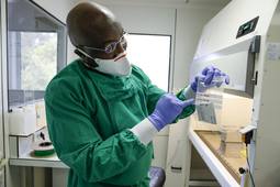 # La science à Muse : Des séquelles longues chez les survivants d’Ebola