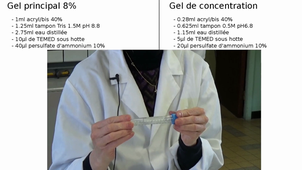 Préparation gels