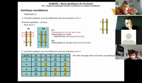HLB605 - TD1 - Génétique mendélienne et cartographie génétique