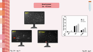 Article Cell Cycle 5