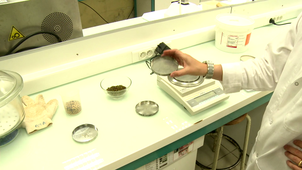Atelier Technologie Alimentaire - Etuve.