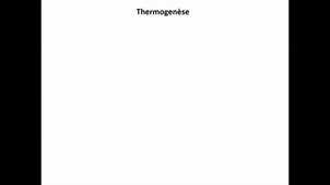 Température endothermes