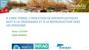 Xavier COUSIN - Impacts plastiques / poissons