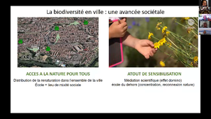 COS BiodivOc 2026-Services rendus par la nature.mp4