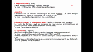 HLBI406_Transferts membranaires_CM9 diapo 293 à 338