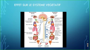 FERRARA_Inflammation et Mécanismes biologiques de la douleur.mp4