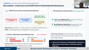 session focused on analyzing and presenting scientific papers about host-pathogen interactions - Emmanuel Cornillot - 5-10-2026.mp4
