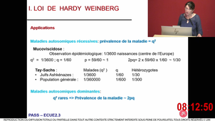 S1UE2ECUE2.3_Cossee_2_09112023