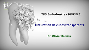 TP3 - Obturation Cubes transparents
