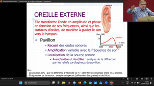 2/2 DFGSM2 UE : APPAREIL NEUROSENSORIEL PARTIE 2 - CM30 Bases biophysiques de l'audition et explorations fonctionnelles auditives (aspects physiques et physiologiques)  - Denis Mariano Goulart 23/04/2026