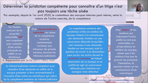 DJP - 1ère partie - OJ - titre 2 - Les différentes juridictions  - Sous-section 1 - Les tribunaux judiciaires