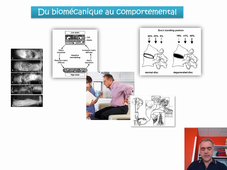 Pathologies rachidiennes lombalgies diagnostic 1 - A. Dupeyron