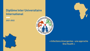 DIU 2021-2022 : Thierry BALDET