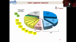Gene and cell therapy of inherited retinal dystrophies_Viki KALATZIS