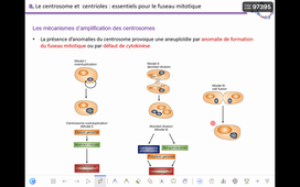 Cours HAV507V 19-10-2026.mp4